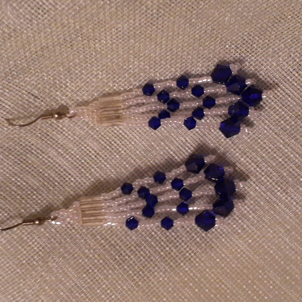 Earrings #302